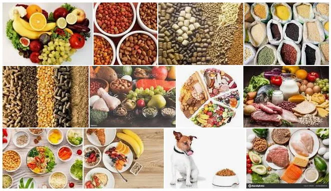 Alimentos balanceados